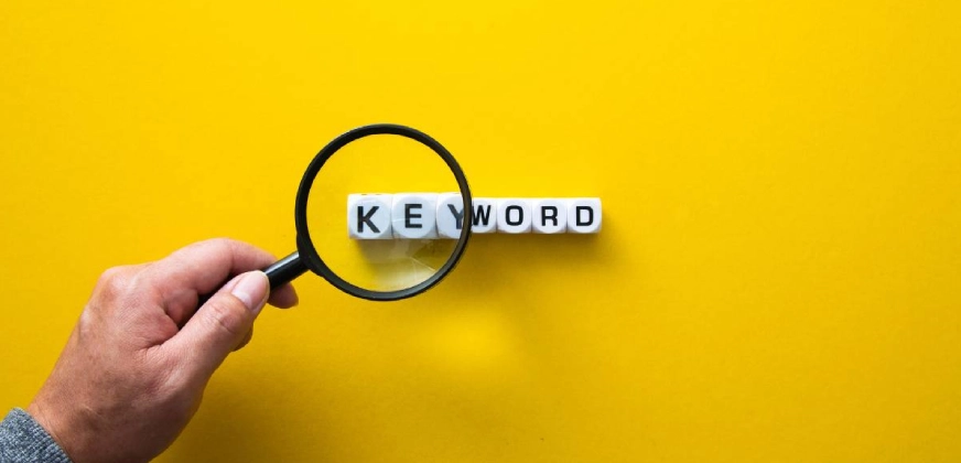 Keyword Research: Biosil, ArtZMiami, FLEXTAIL